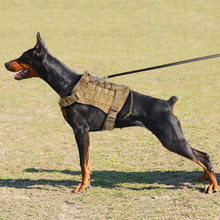 Load image into Gallery viewer, Pet Dog Harness Hunting Vest 1000D Nylon Mesh Handle Adjustable Training Vest Apparel Outdoor Pet Clothes for Small Mediumn
